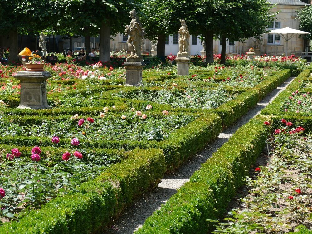 rose garden
