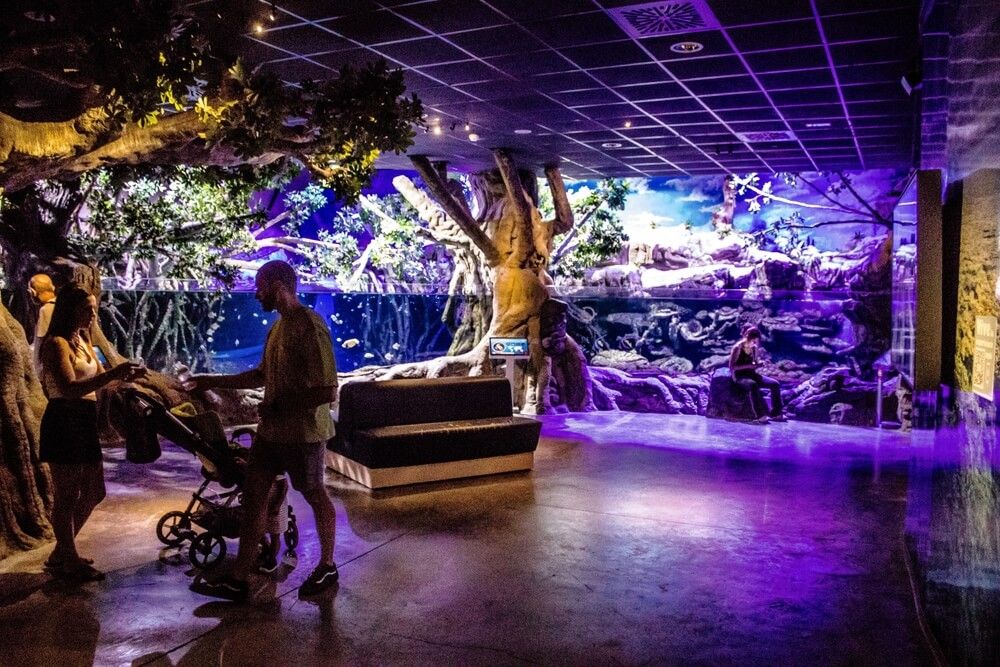 acuario