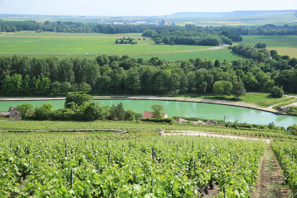 parque regional reims paseo