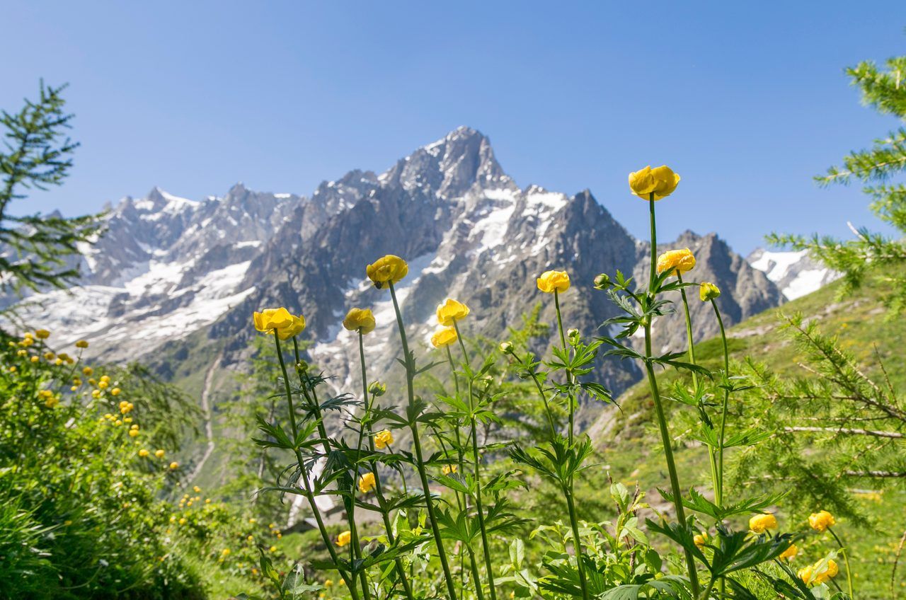 Rifugio Bonatti