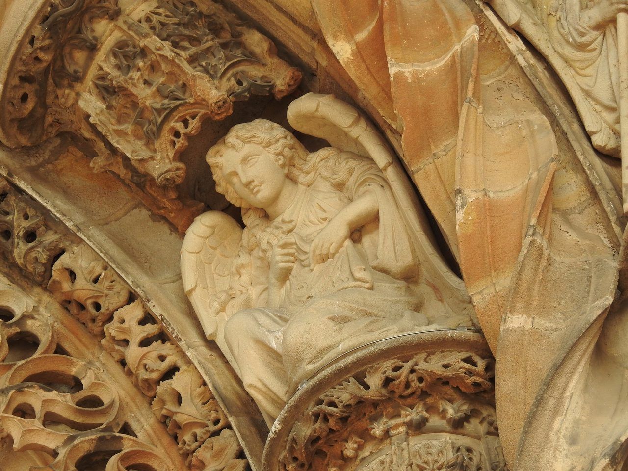 Cathares Albi