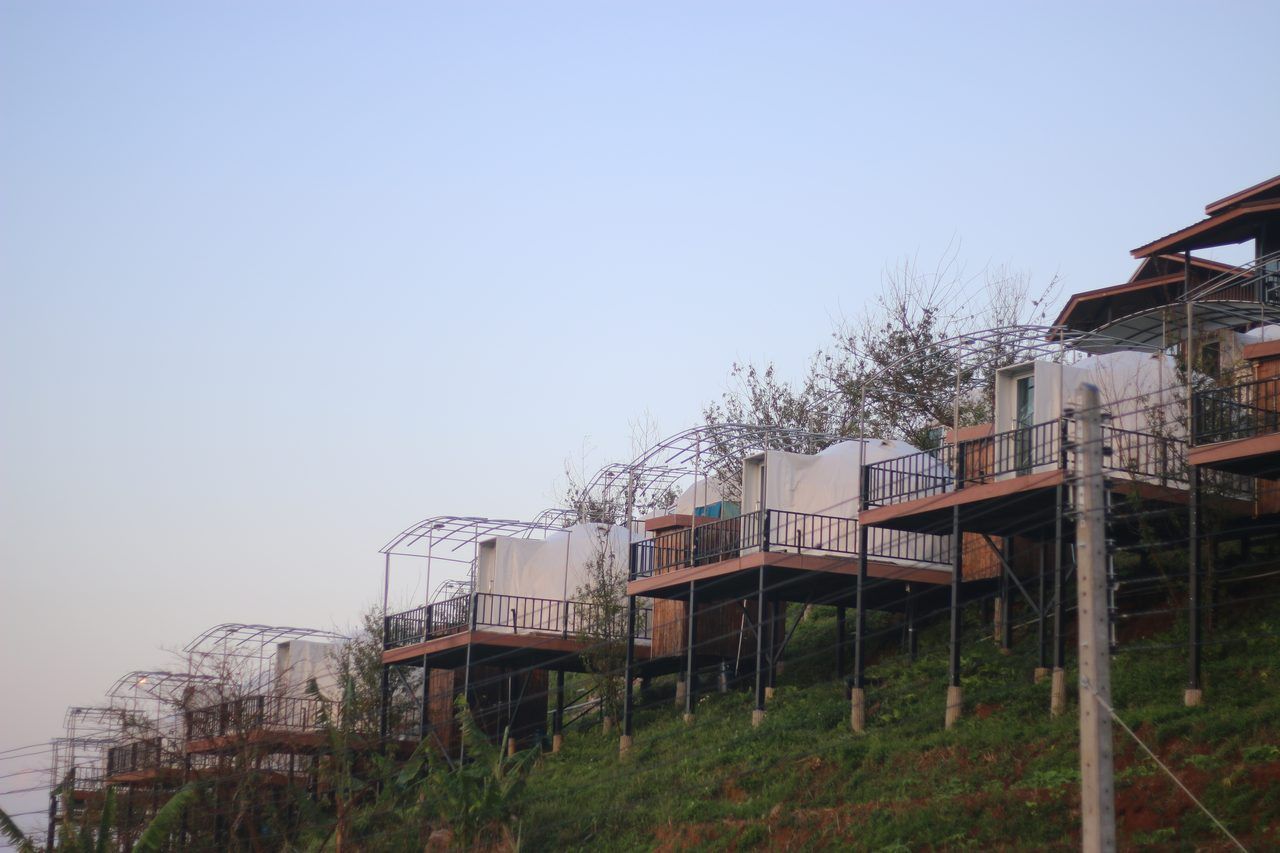 cabane perchée forêt