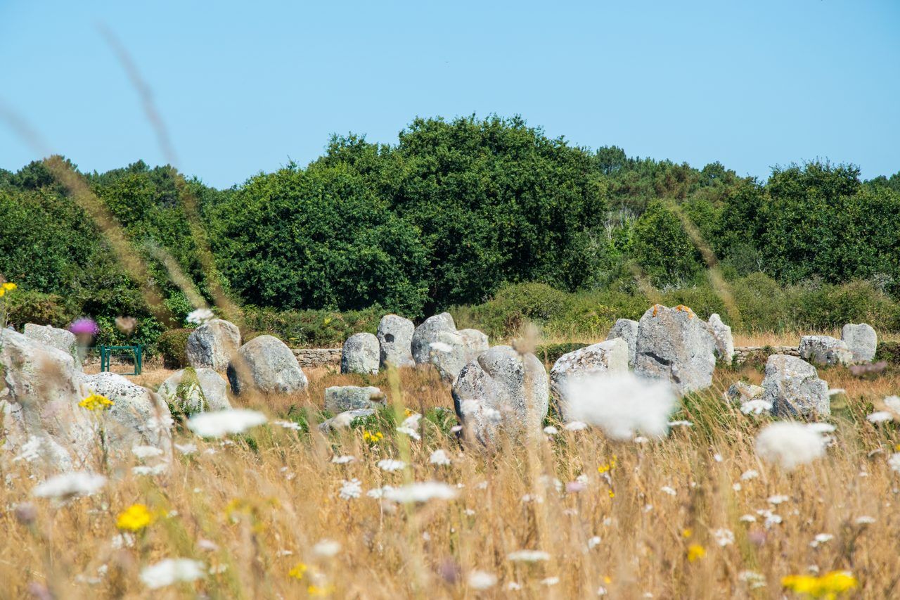 Mégalithes Morbihan