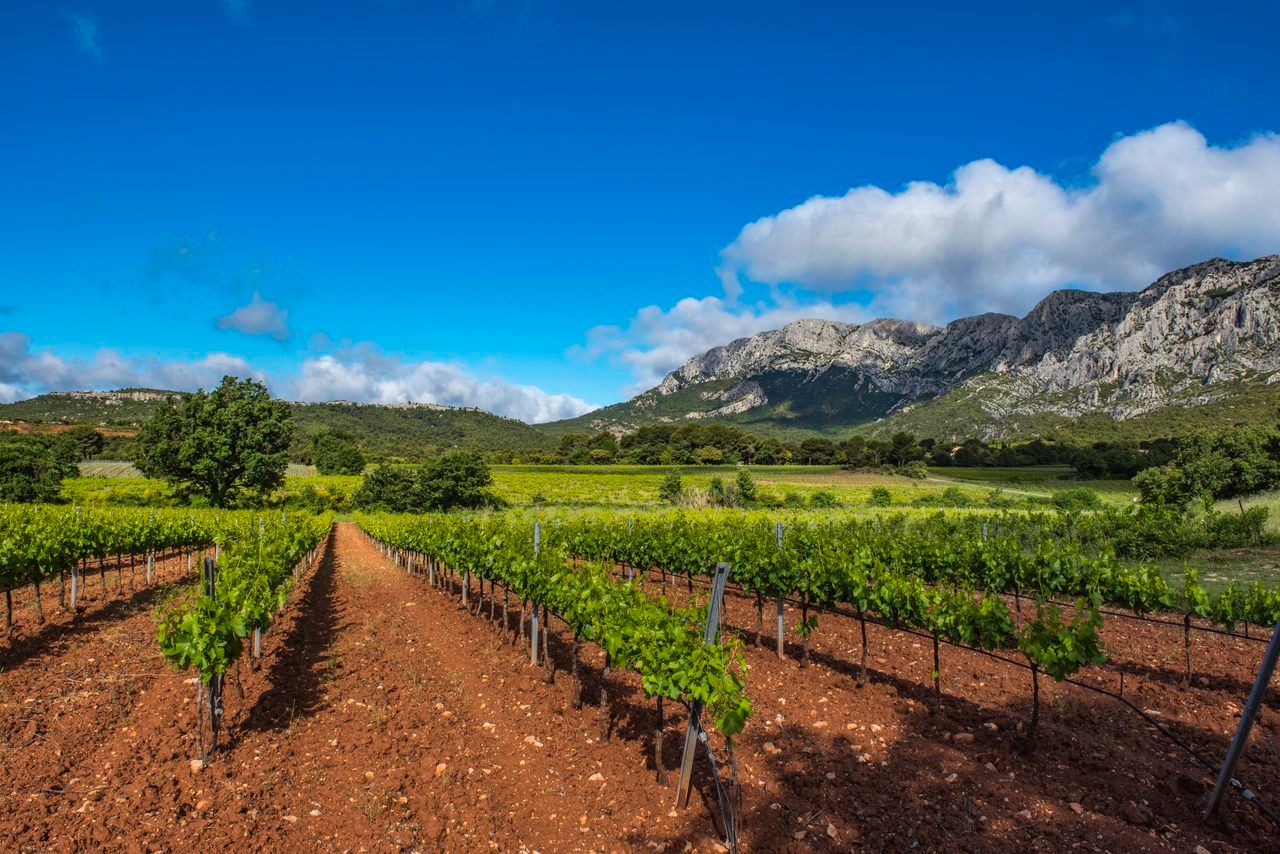 Montagne Sainte-Victoire