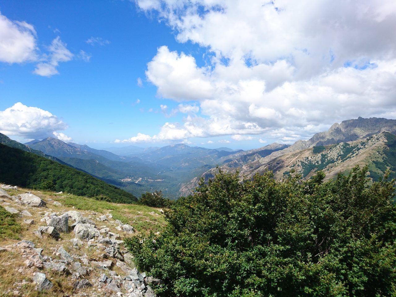 Vallée de la Gravona