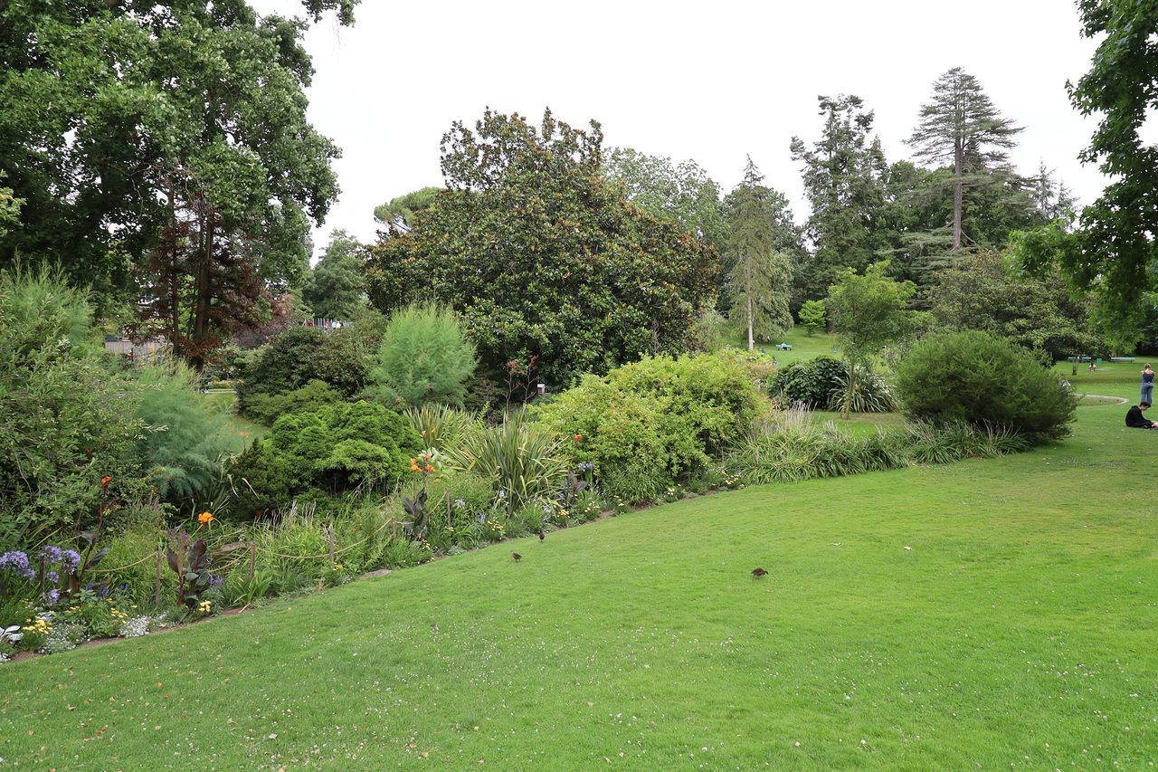 Roseraie Jardin des Plantes Angers