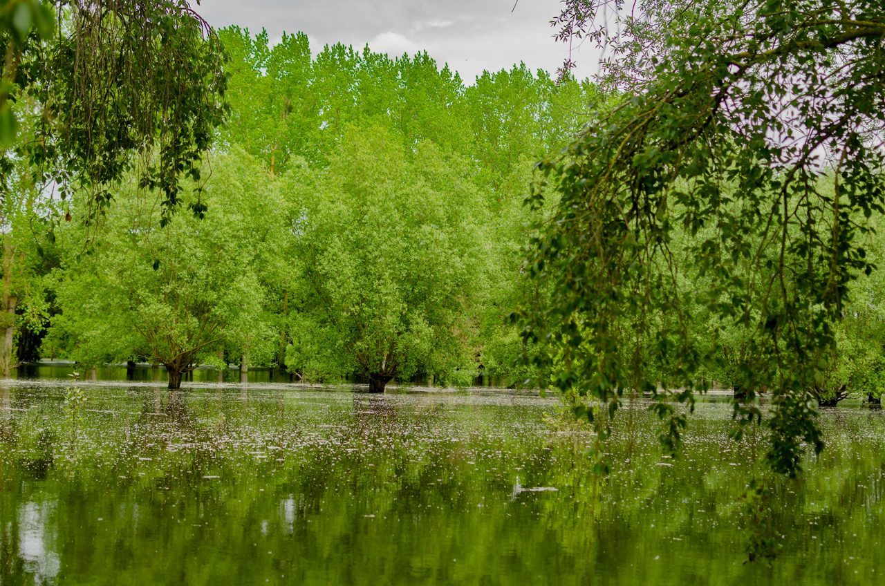 Parc Balzac Angers