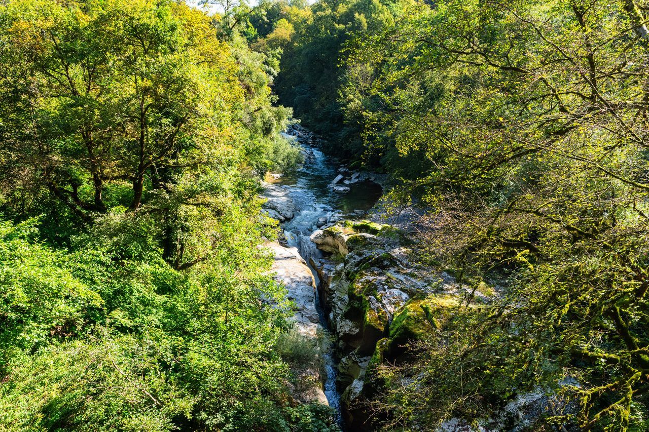 Gorges du Fier