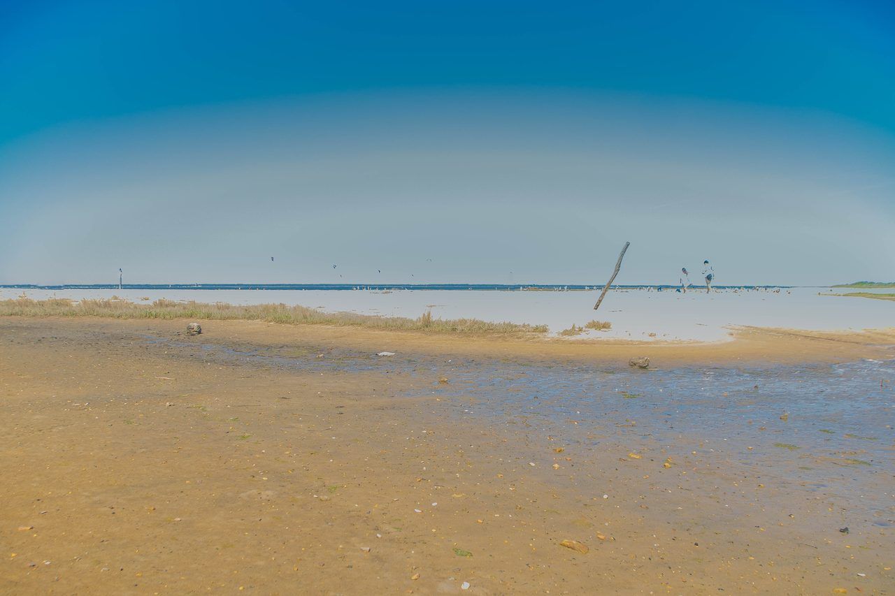 Bassin d'Arcachon nature