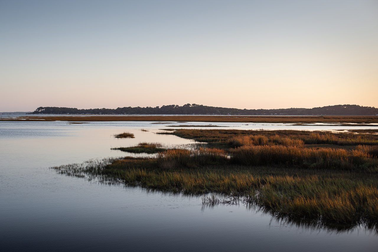 Bassin d'Arcachon