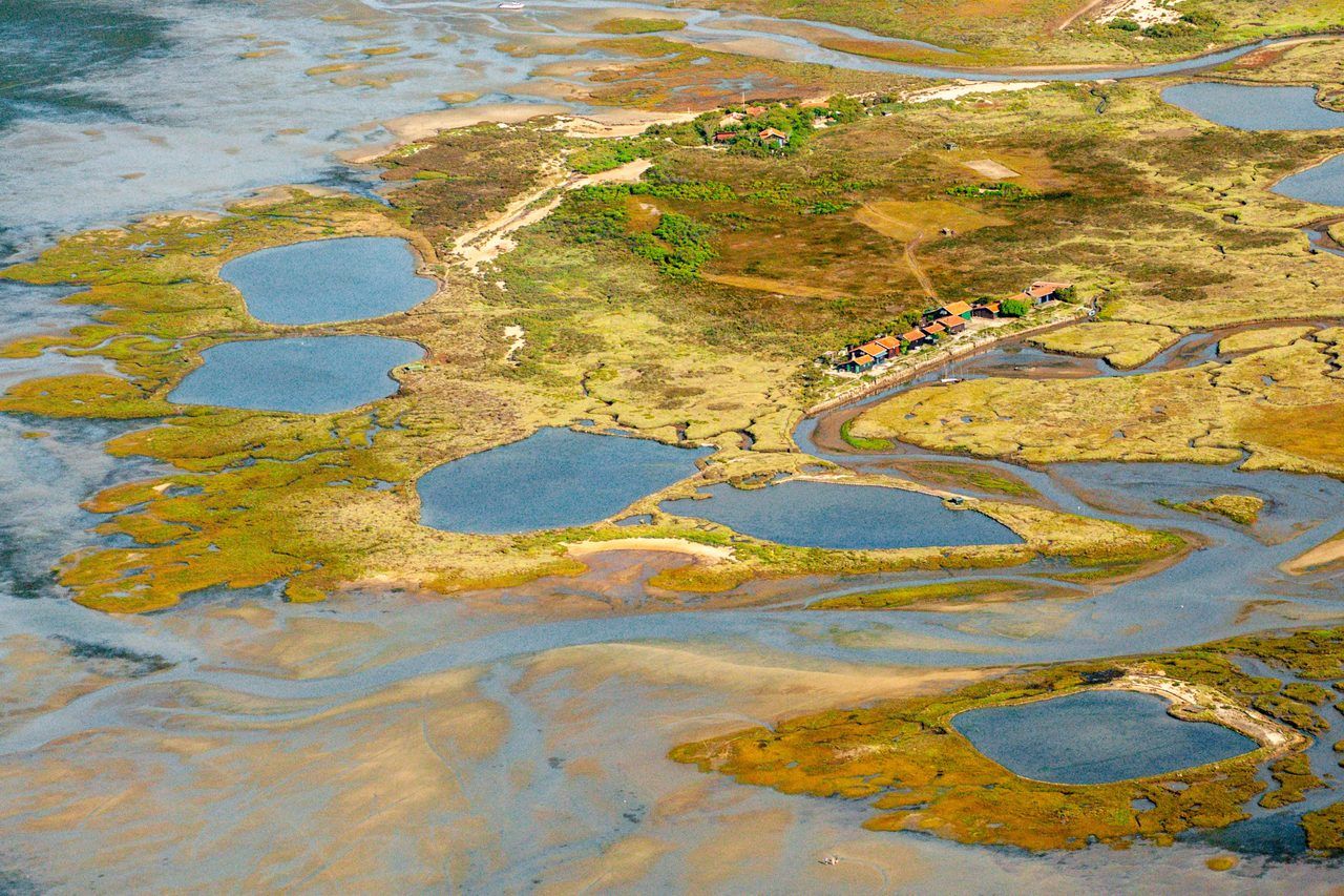 Île aux Oiseaux Arcachon
