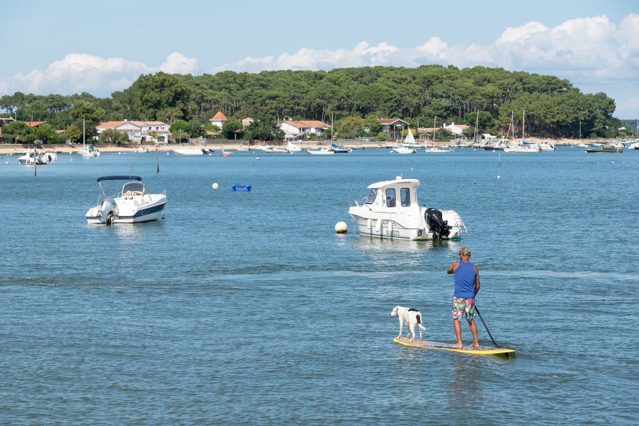 Bassin d'Arcachon paddle