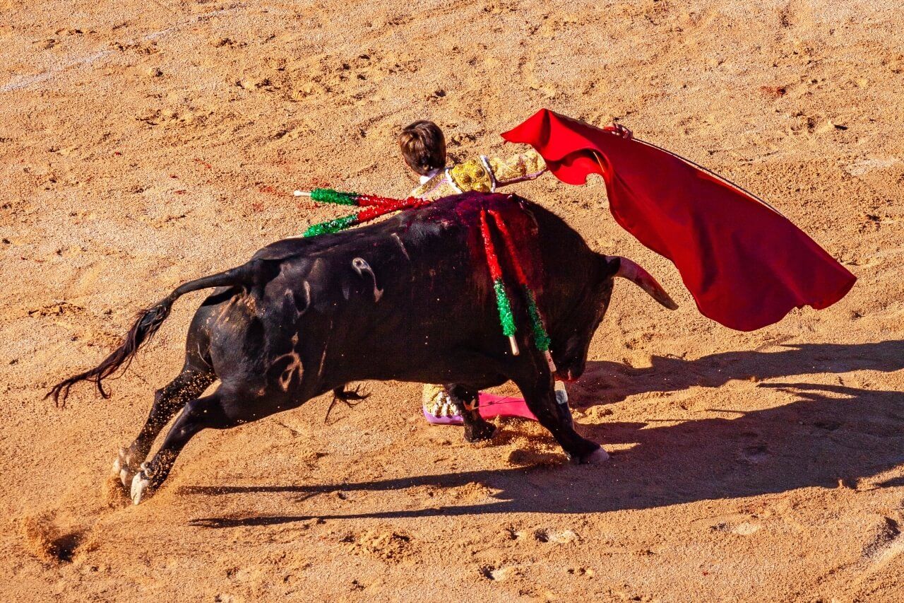 Feria de Nîmes