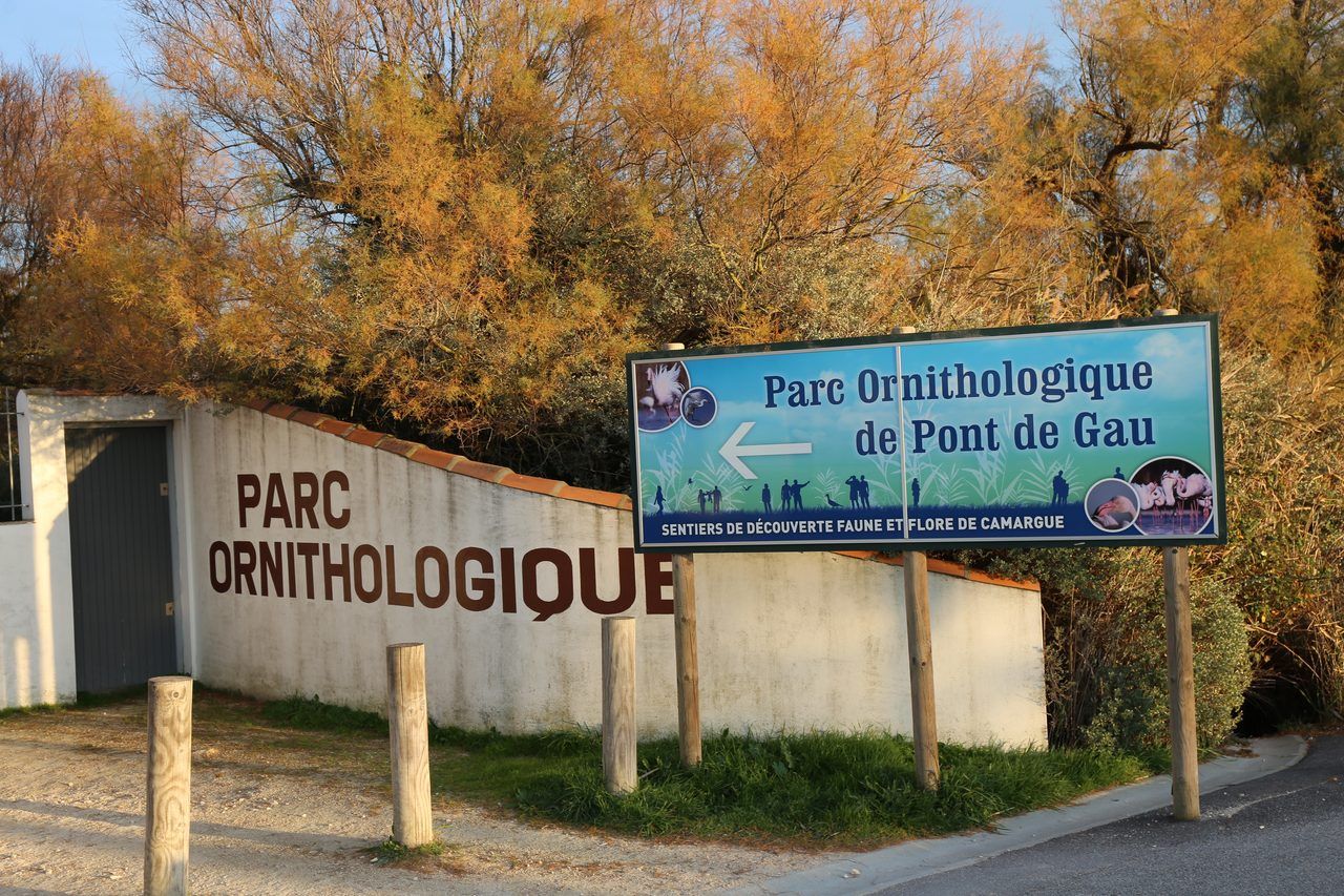 Parc ornithologique Pont de Gau