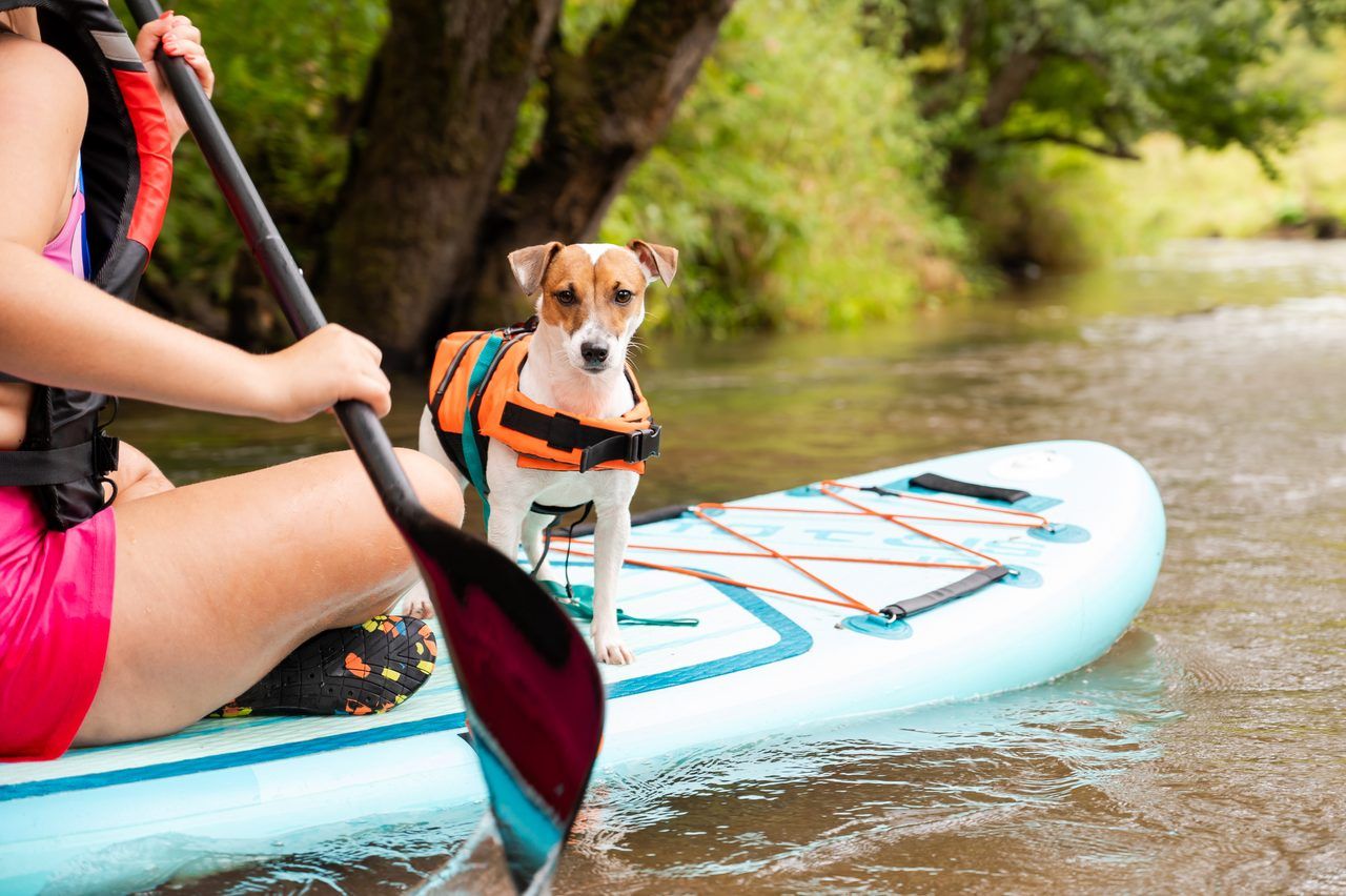 famille paddleboard rivière