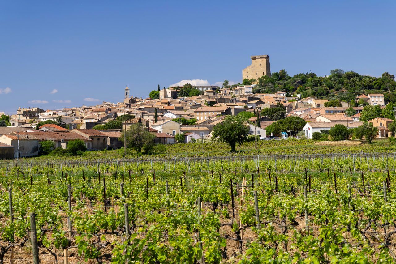 Côtes du Rhône vignoble