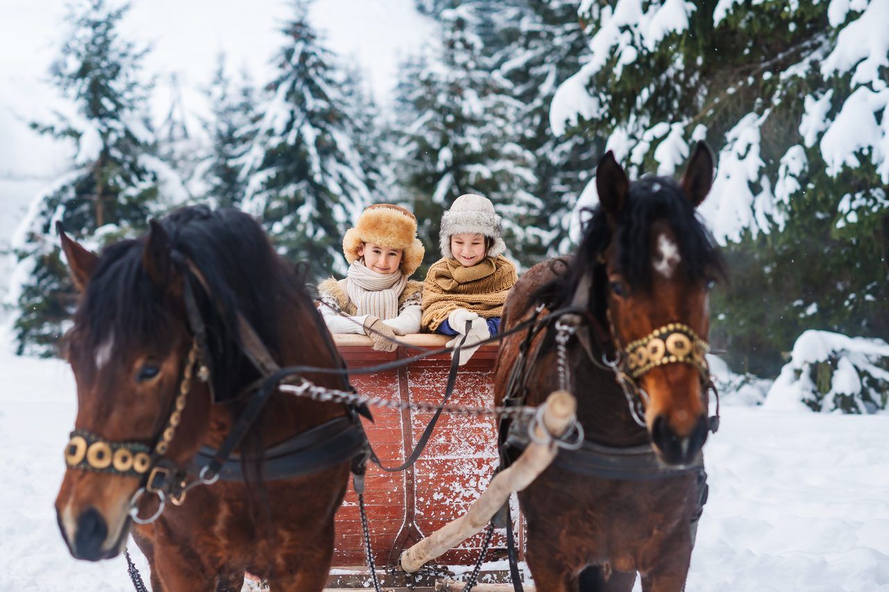 balade à cheval calèche