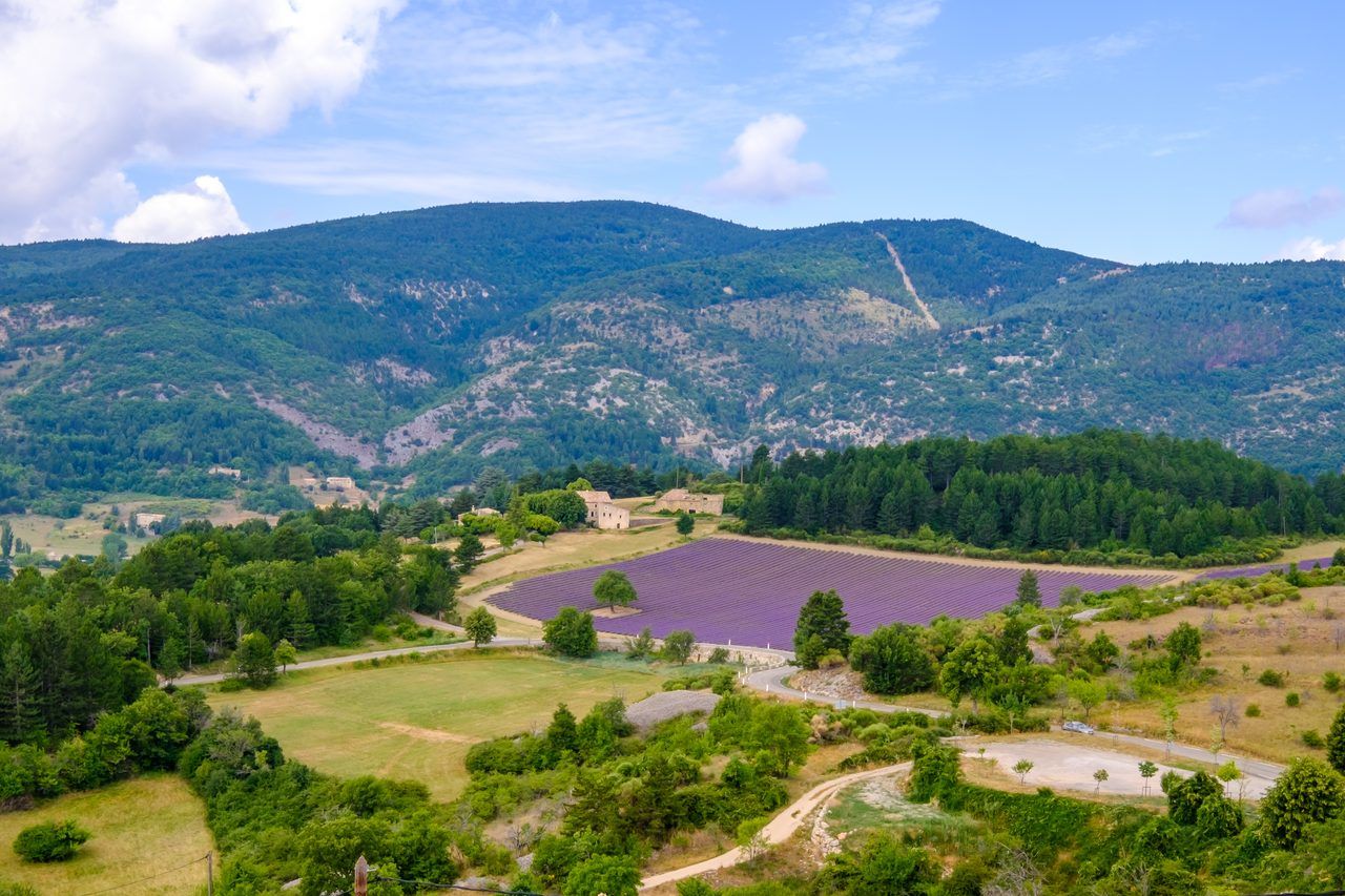 Plateau d'Albion