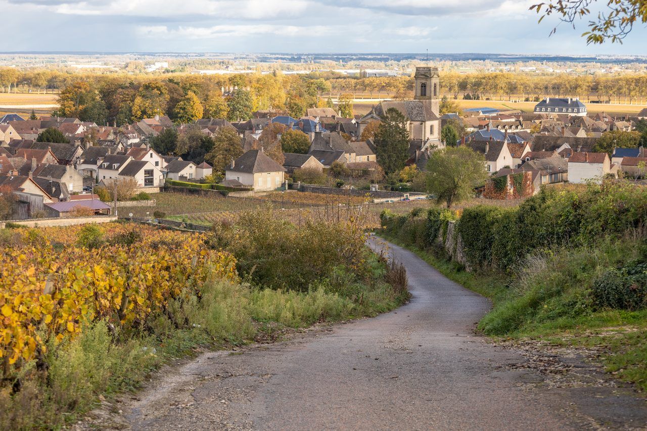 Route des Grands Crus