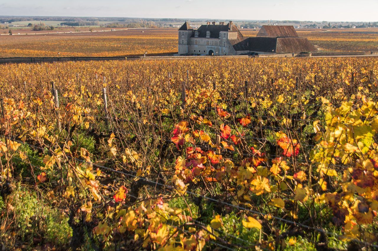 Château du Clos de Vougeot