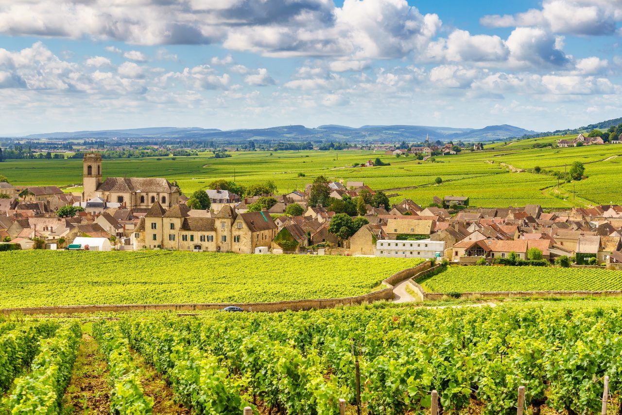 Bourgogne paysage