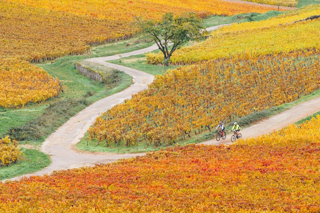 vélo vignoble Beaune