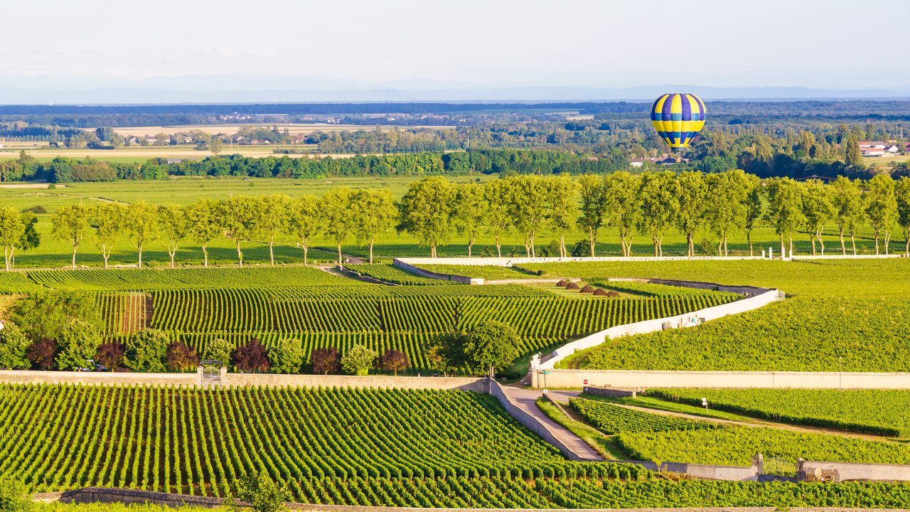montgolfière vignobles Bourgogne