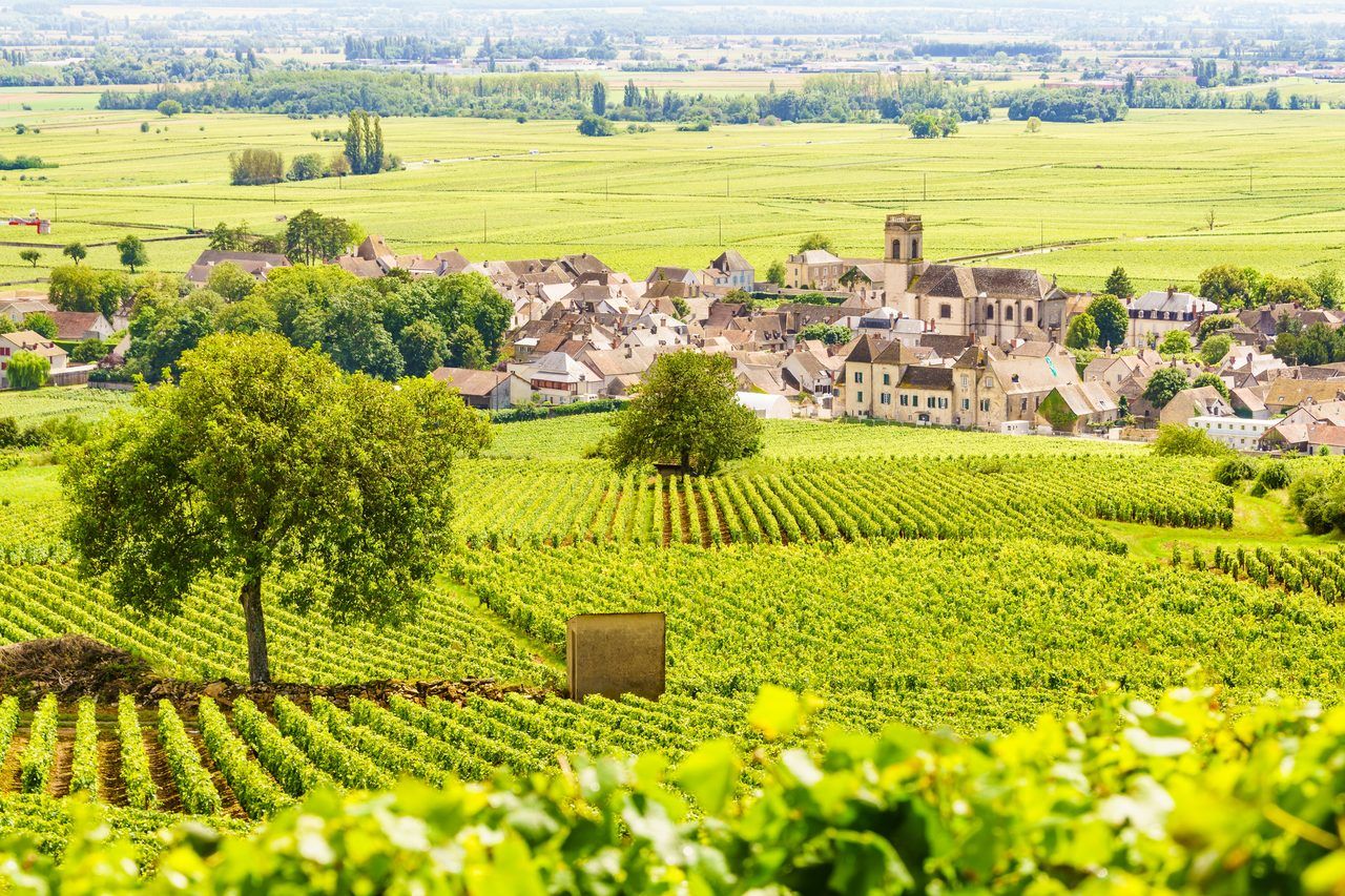 Beaune Bourgogne