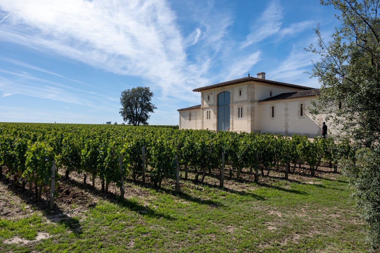 château viticole Bordeaux