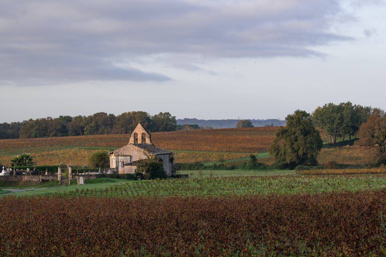 Entre-Deux-Mers vignoble