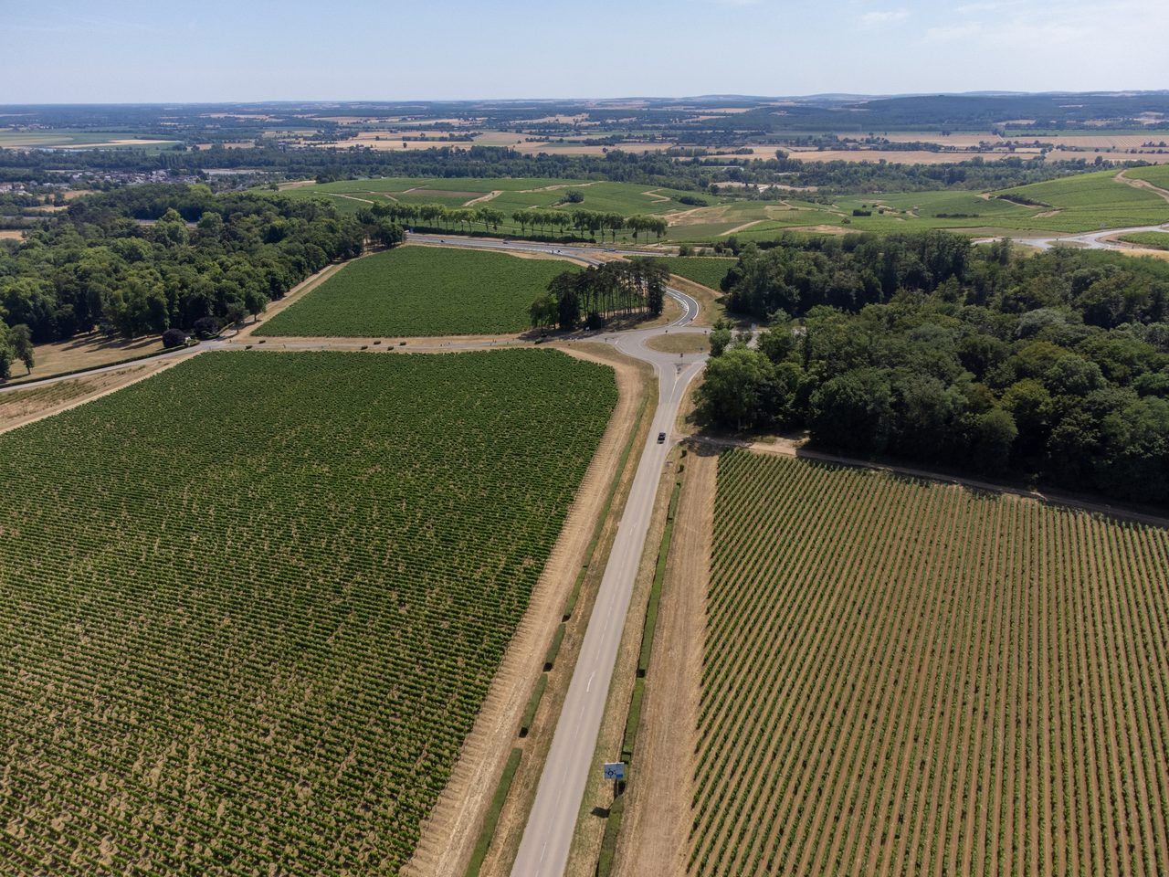Sancerre vignoble