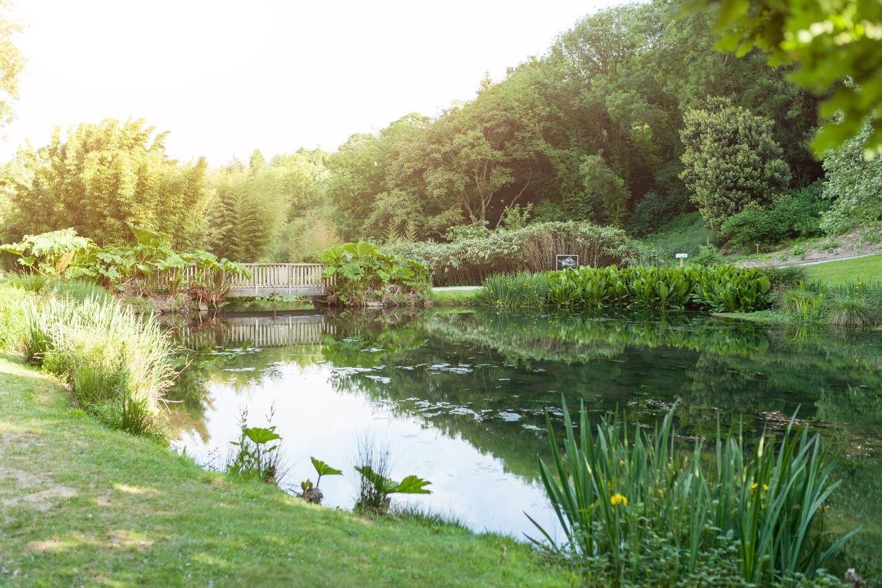 Jardin botanique Stang-Alar