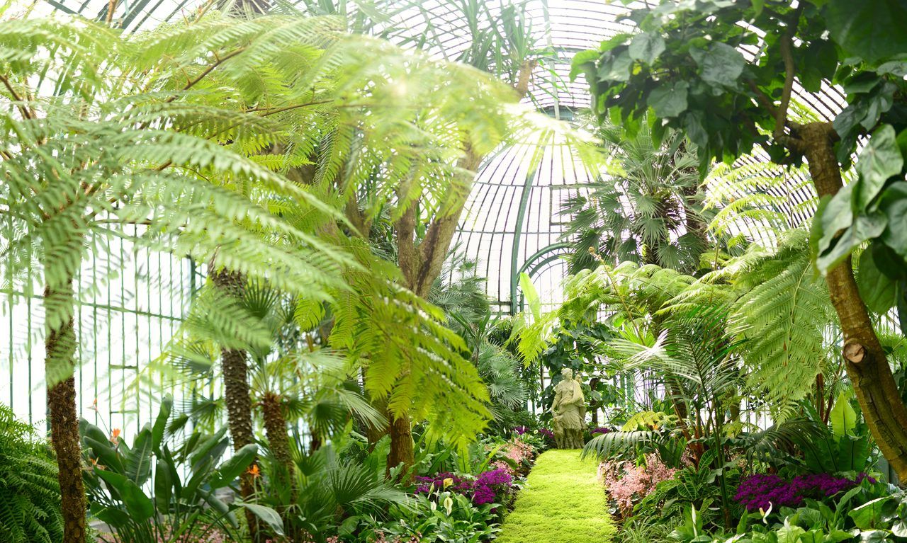 Serres de Laeken