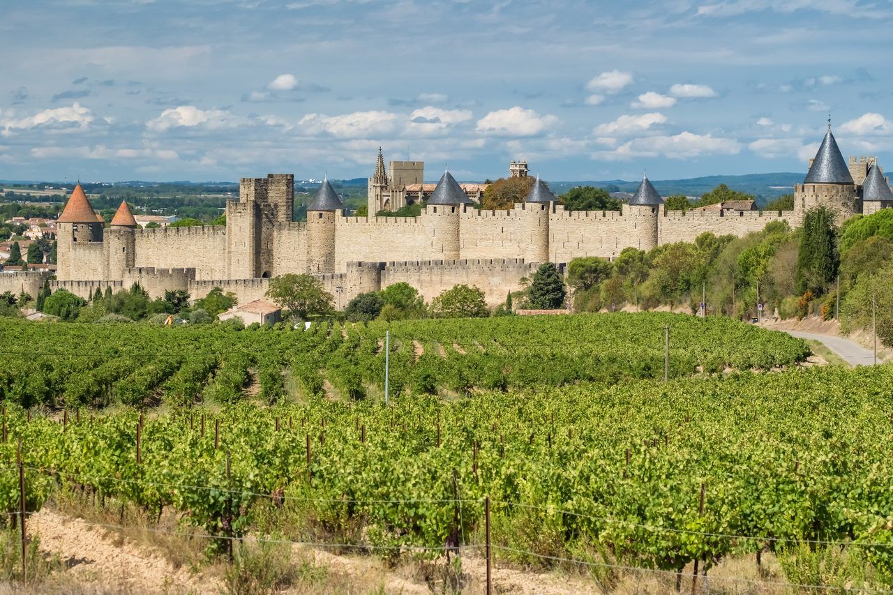 Carcassonne vignoble