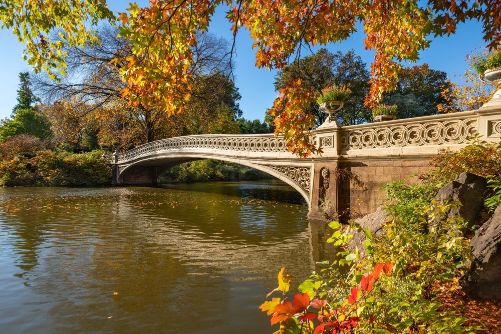 bow-bridge-central-park