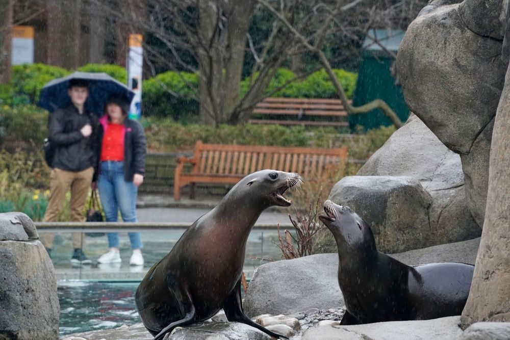 zoo-central-park