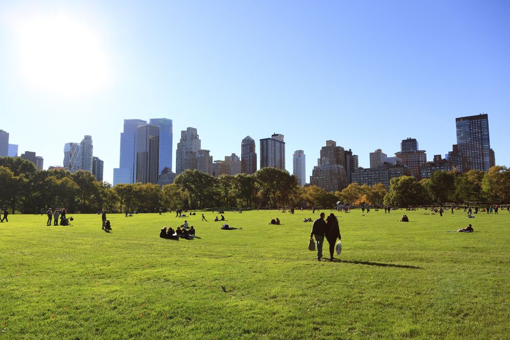 the great-lawn