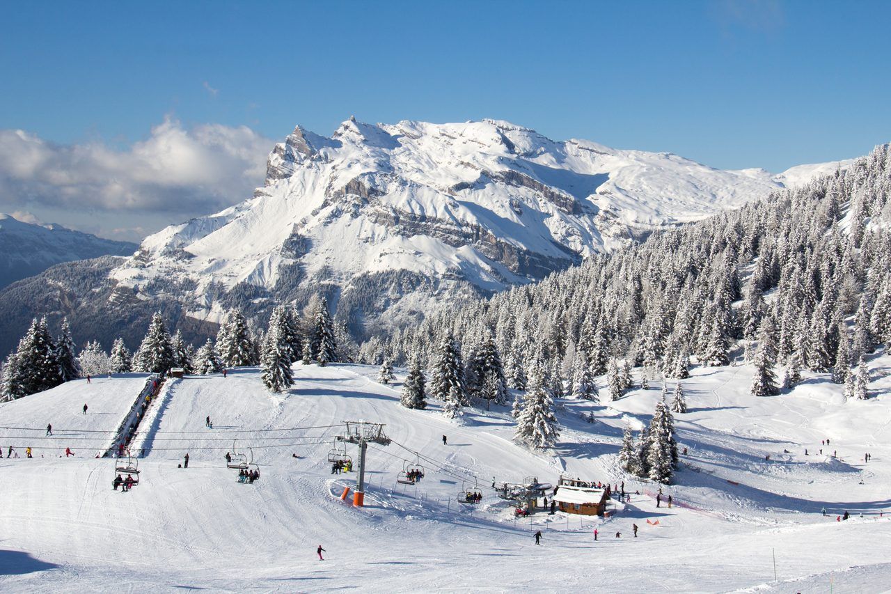 Domaine skiable Chamonix