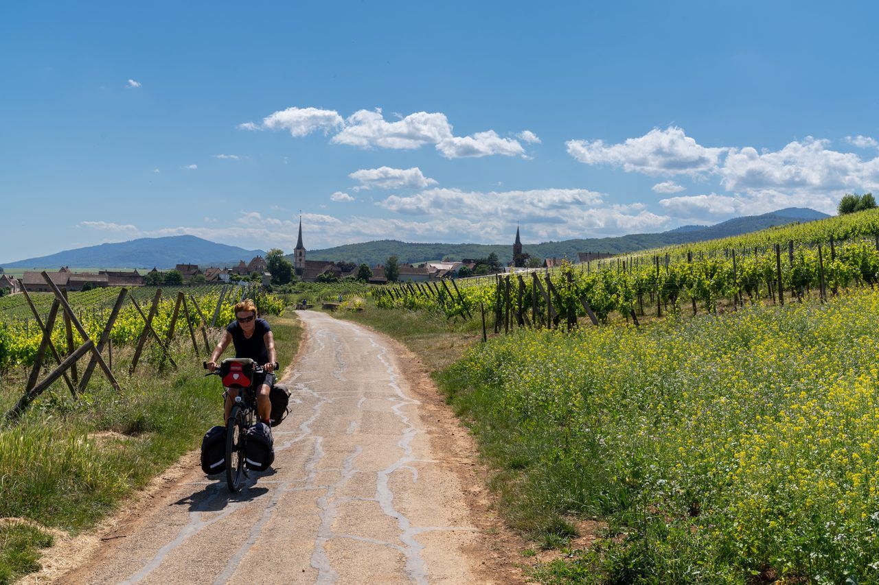 Route des vins Alsace vélo