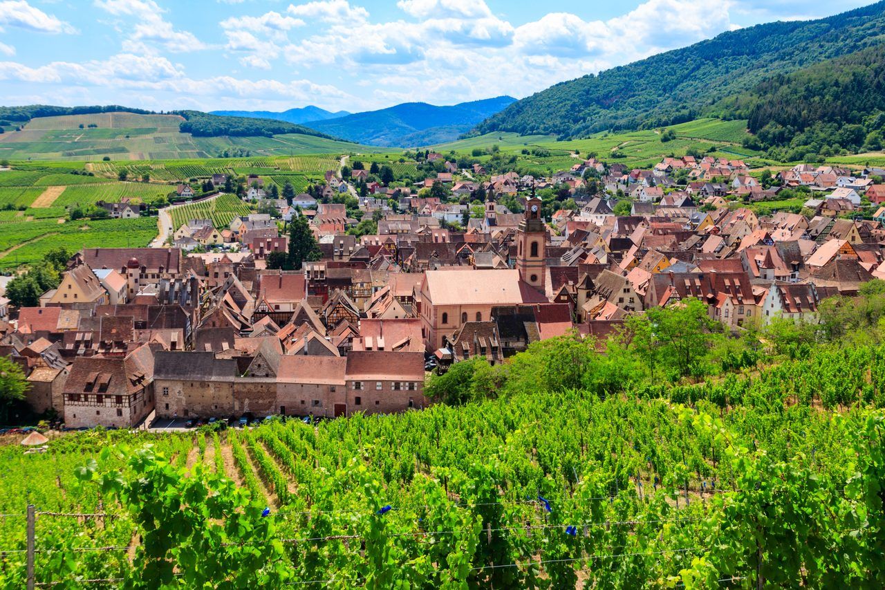 Route des vins d'Alsace
