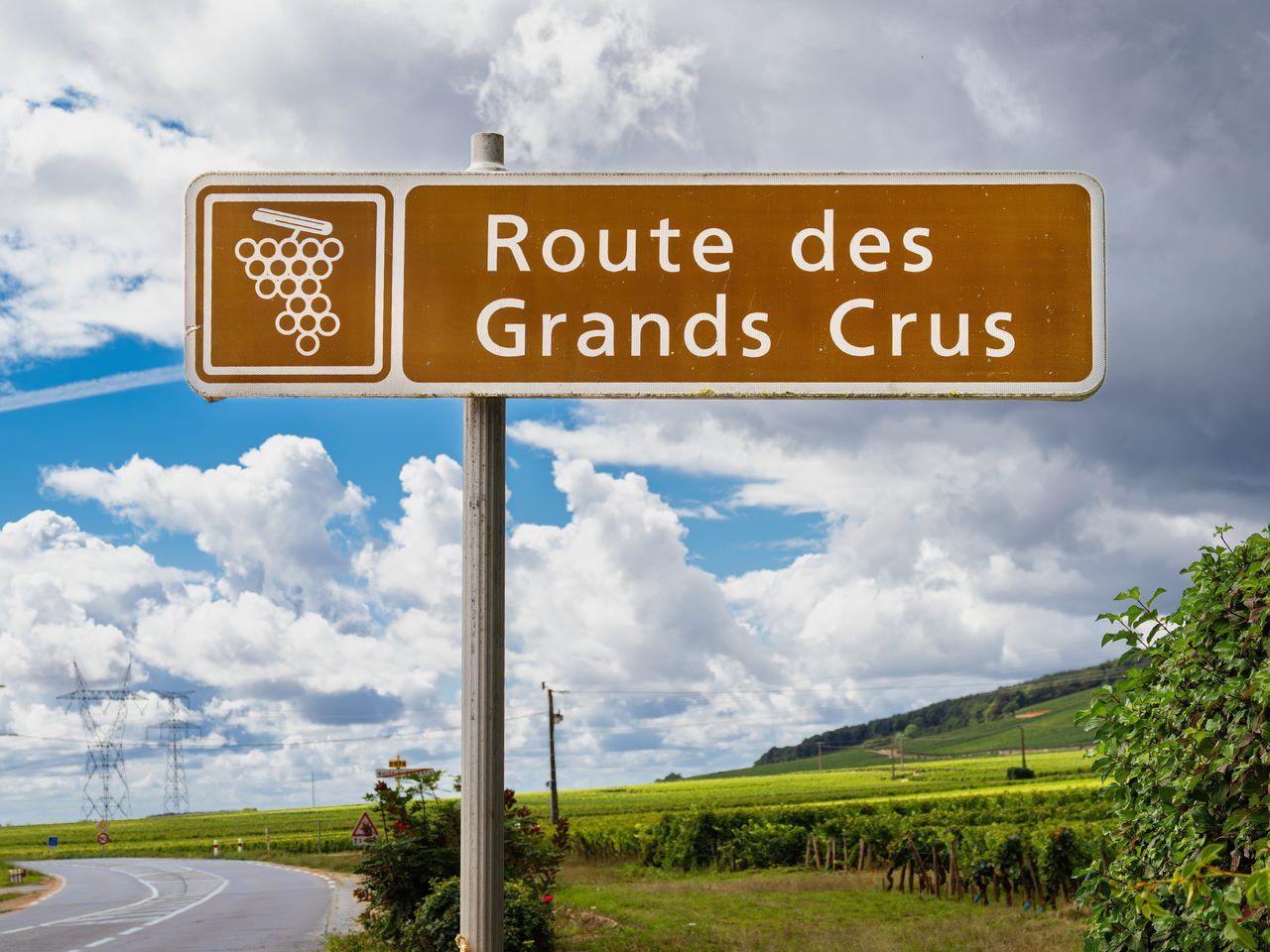 Vignobles Route des Grands Crus