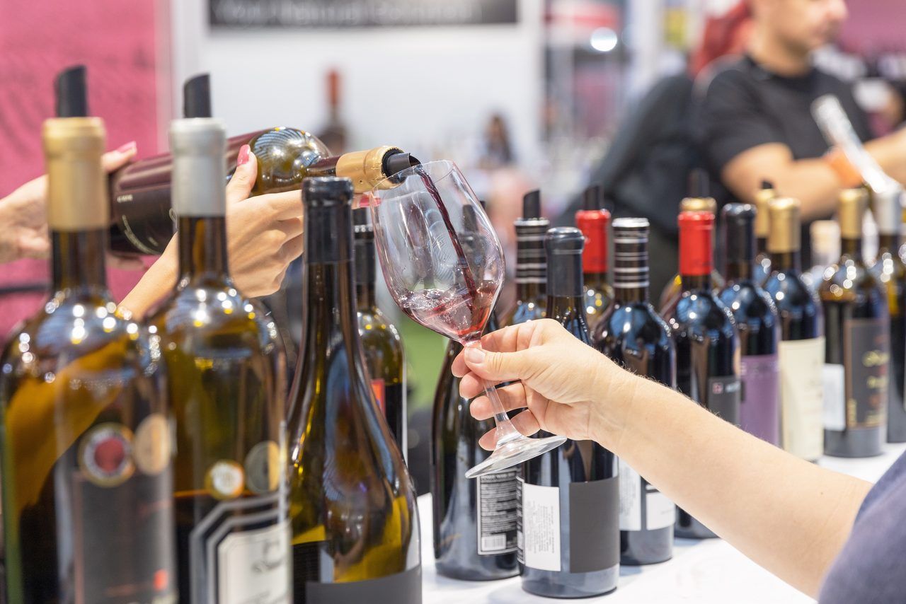dégustation vin Bourgogne