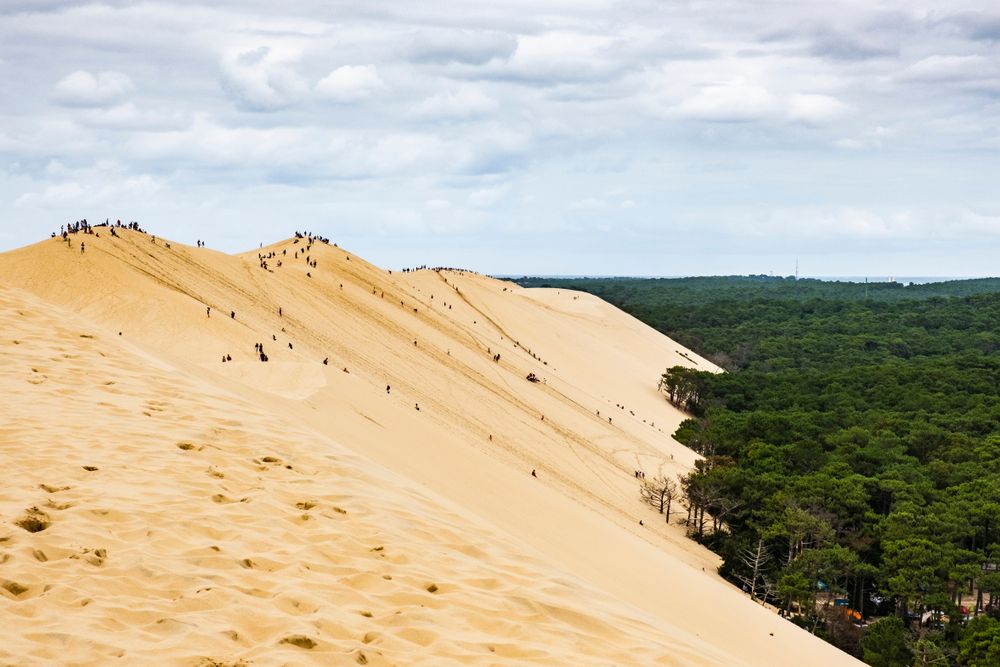 dune-pilat-vue-foret