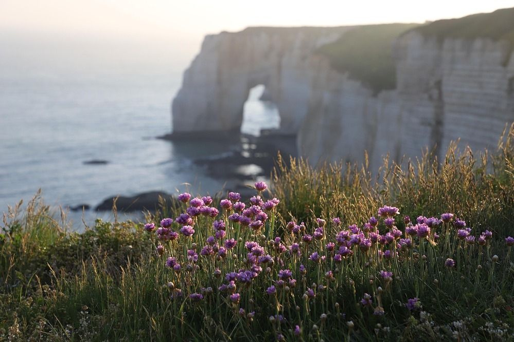 arche etretat