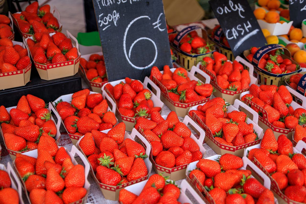 cuisine provençale terroir