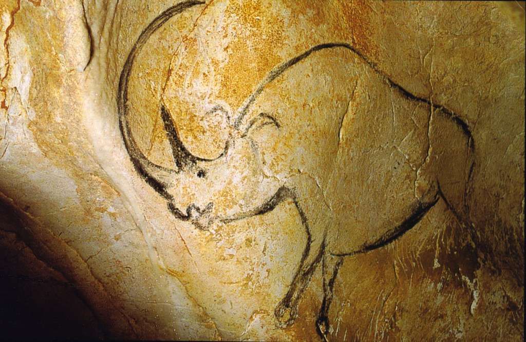 Visiter la Grotte Chauvet en Ardèche