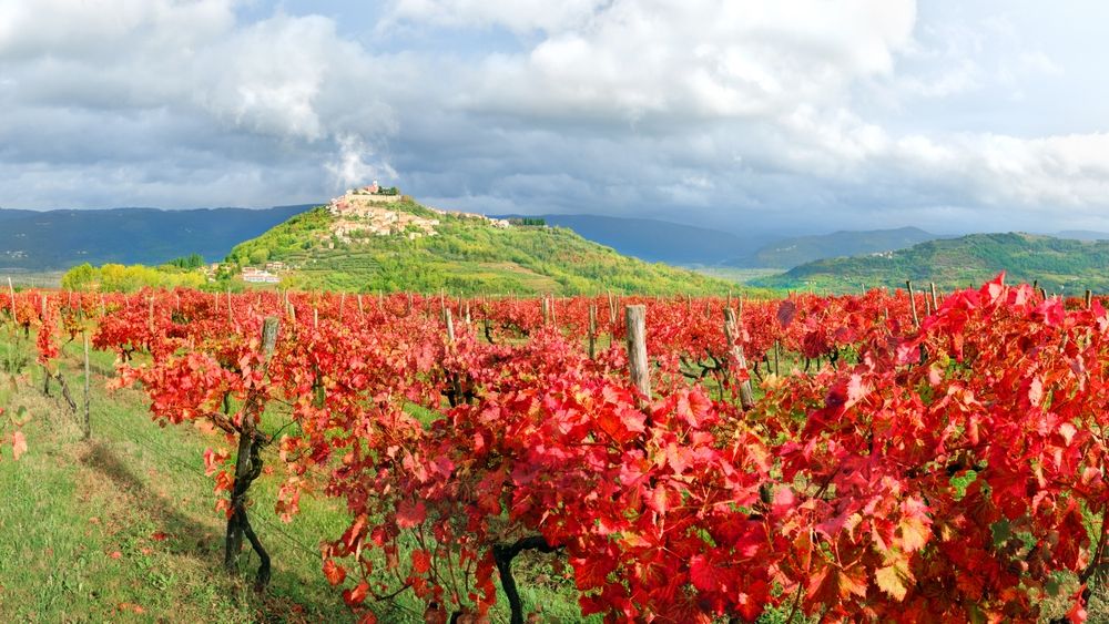 Visiter l’Hérault : 15 lieux incontournables à découvrir