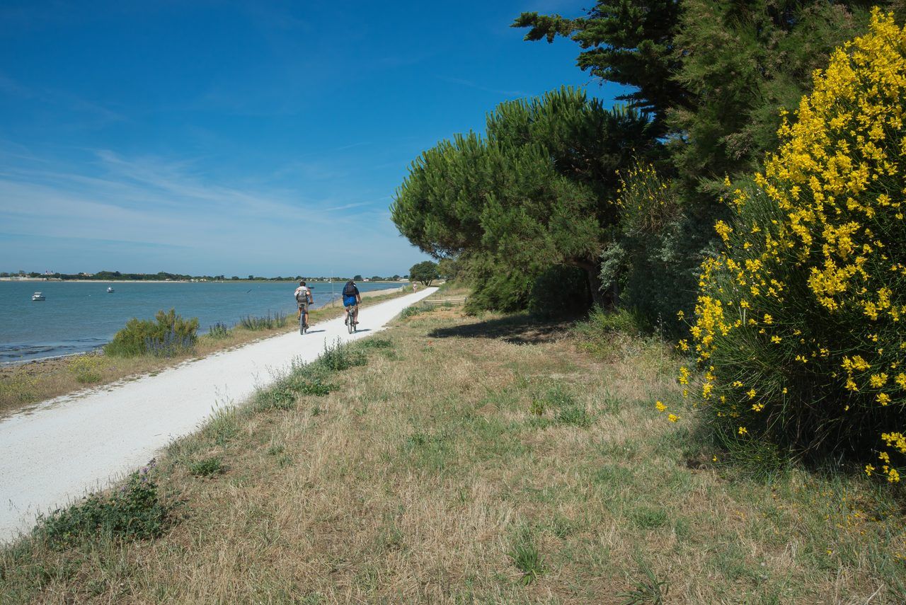 Île d'Aix vélo