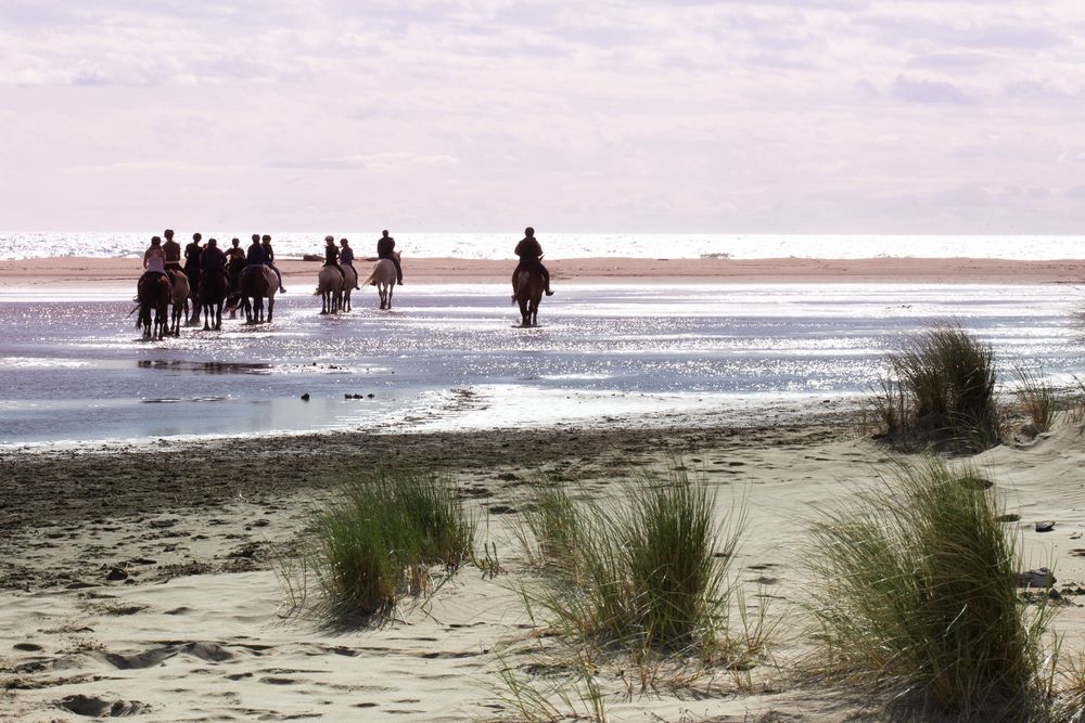 plage-de-espiguette