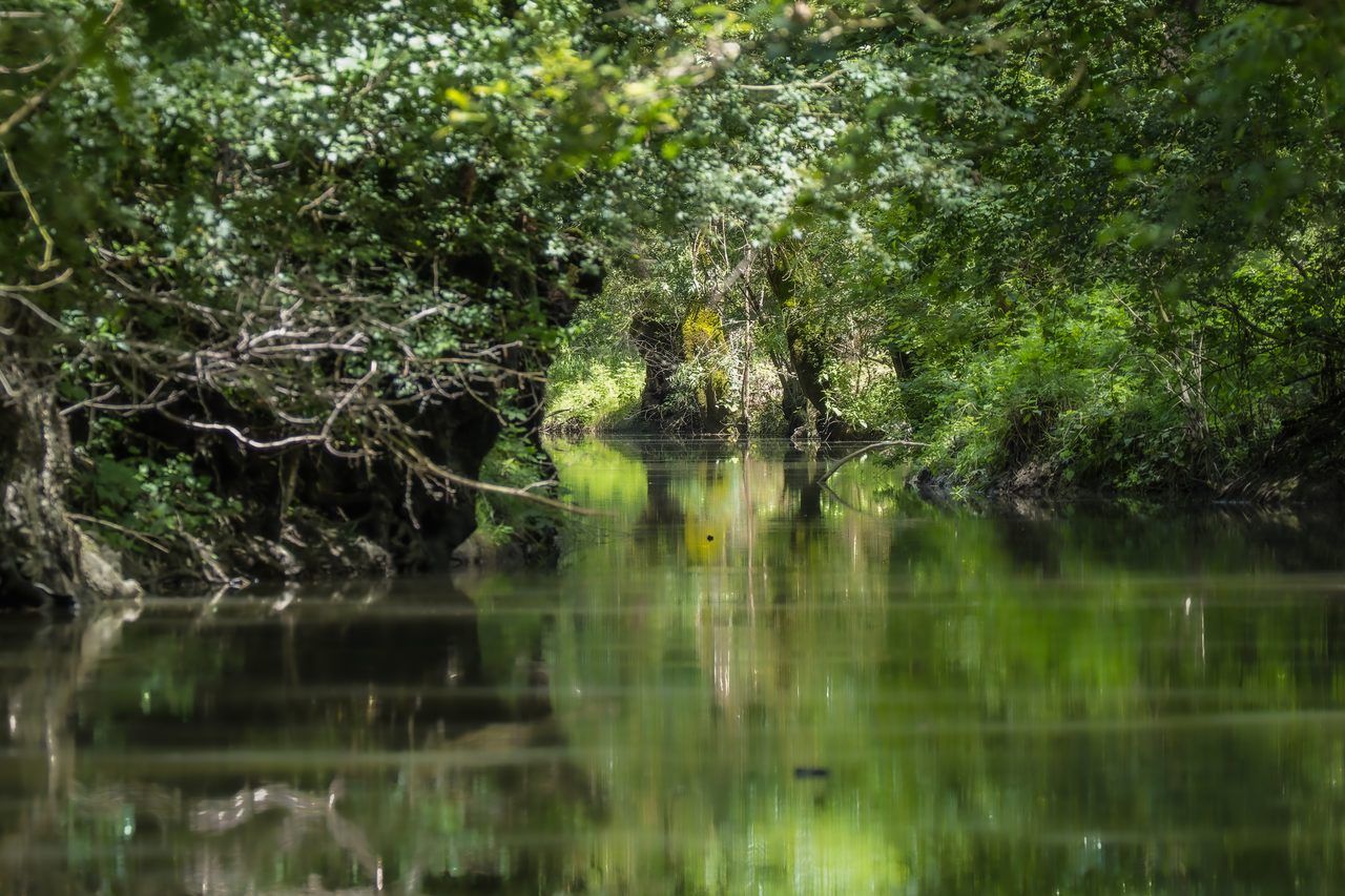 Marais Poitevin canaux